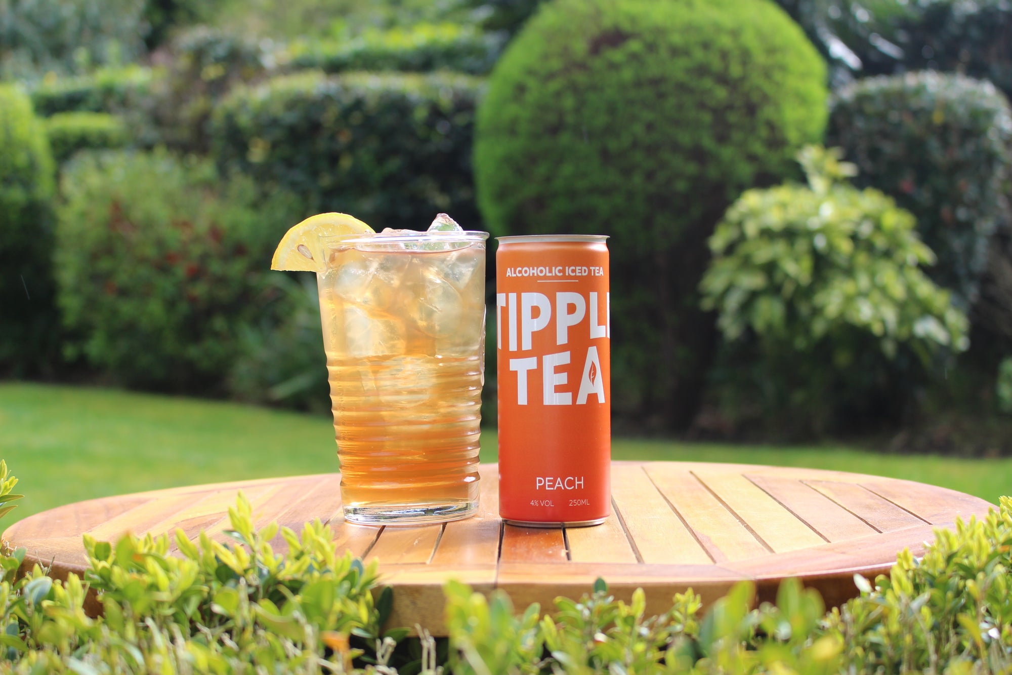 Tipple Tea - Pack of 12