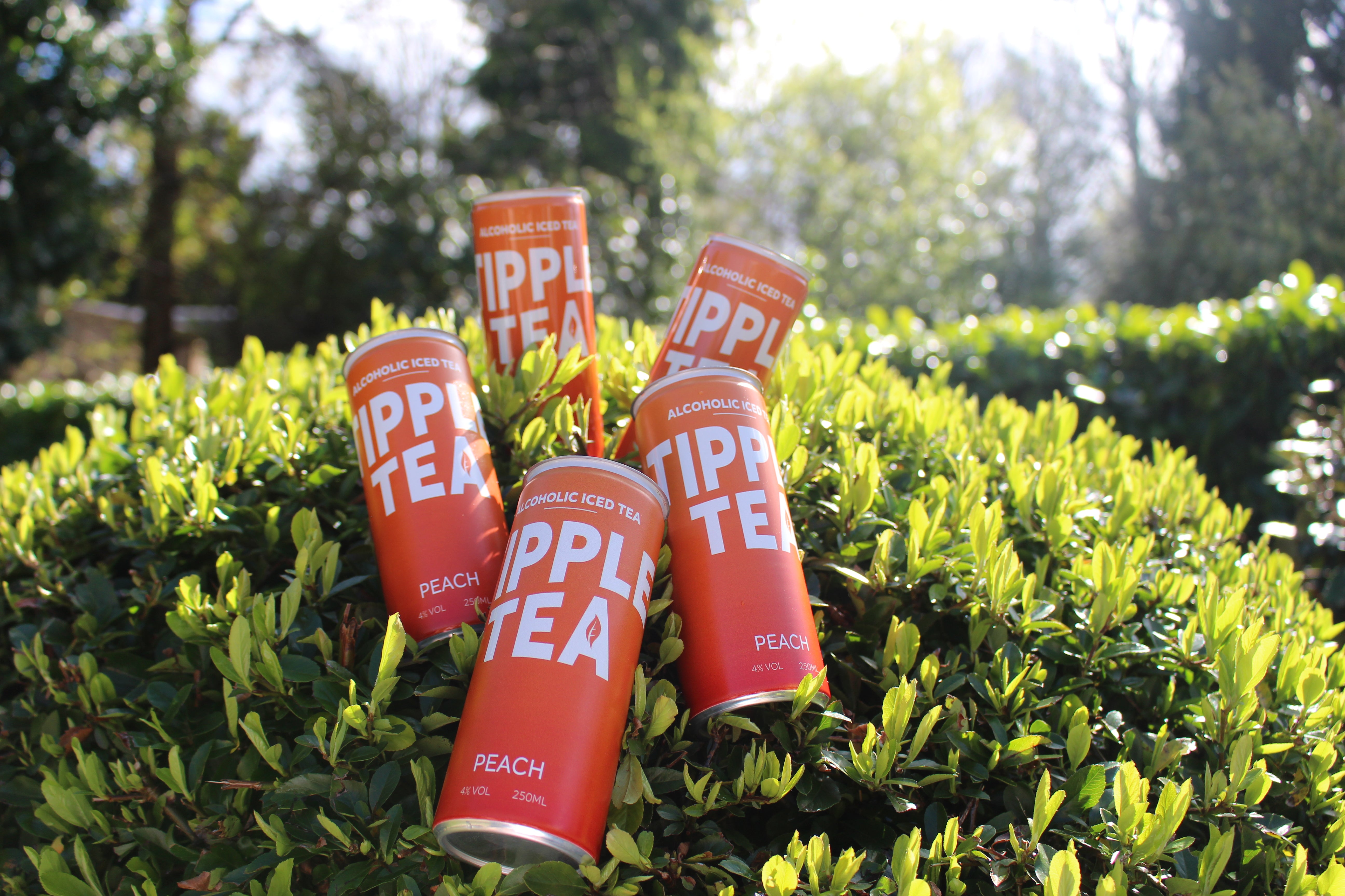 Tipple Tea - Pack of 4