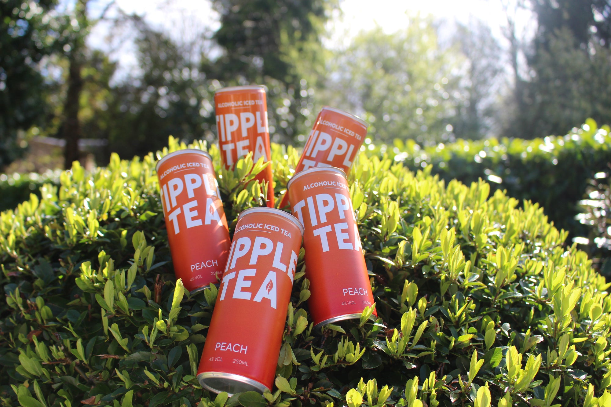 Tipple Tea - Pack of 4